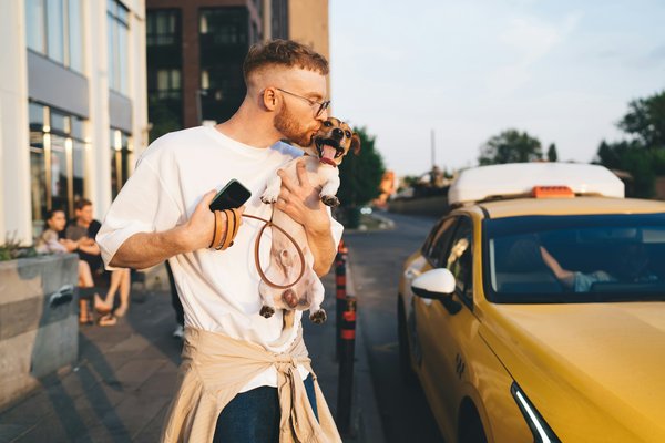 Taxi animalier paris : le transport sûr et confortable pour vos animaux